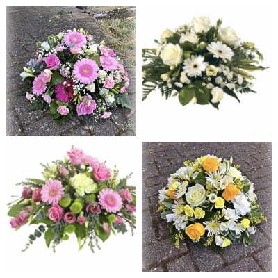 Posy