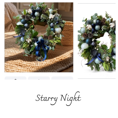 Christmas door wreath Starry Night