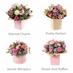 Romance Range