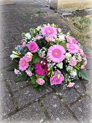 Posy pinks