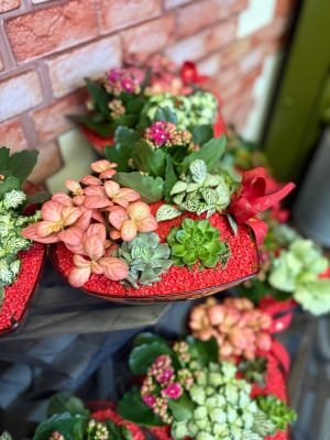 Season of love (Valentine terrarium planter)