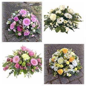 Posy