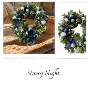 Christmas door wreath Starry Night