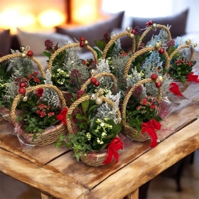 Christmas planted Basket
