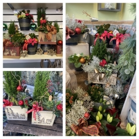 Christmas planter