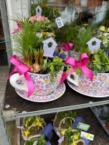 Cup and saucer planter
