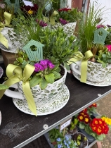 Cup and saucer planter