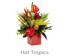 Hot tropics