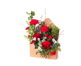 Letter to Santa (Red)