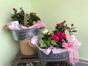 Planter