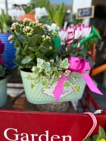 Planter