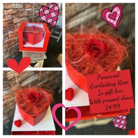 Preserved Rose