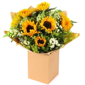 Sunshine splendour