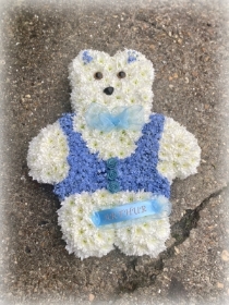 Teddy pink or blue